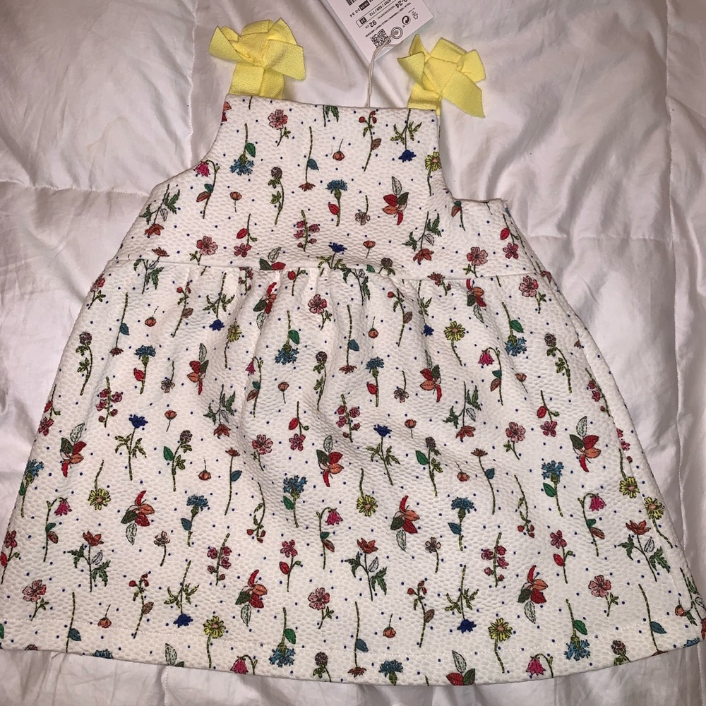 Infant 18-24 Month Zara Dress